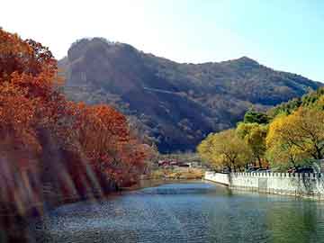 新澳天天彩免费资料大全查询，北京线路板